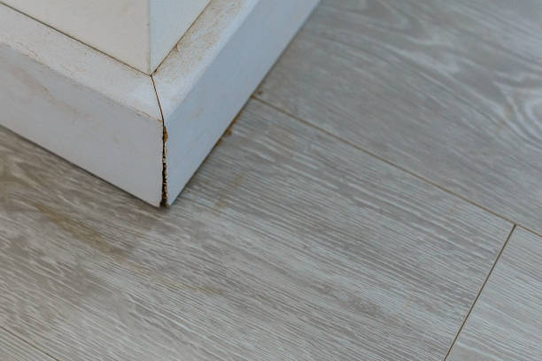 Safe Hardwood  Floors From Furniture Scratches  When  Moving