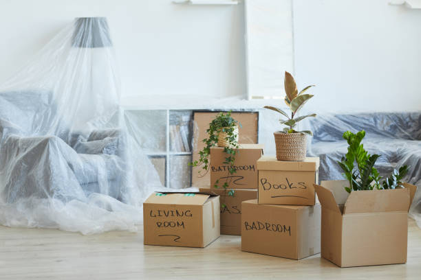 Packing for Storage: Strategies to Keep Belongings Safe and Organized